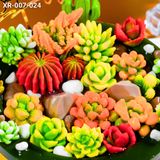  Bánh Sinh Nhật Sen Đá (XR-007-024) 