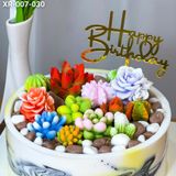 Bánh Sinh Nhật Sen Đá (XR-007-030) 
