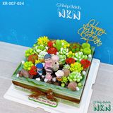  Bánh Sinh Nhật Sen Đá (XR-007-034) 