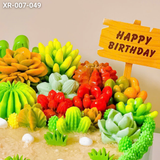  Bánh Sinh Nhật Vườn Sen Đá (XR-007-049) 