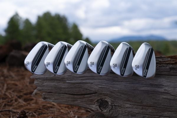 Wedge s259