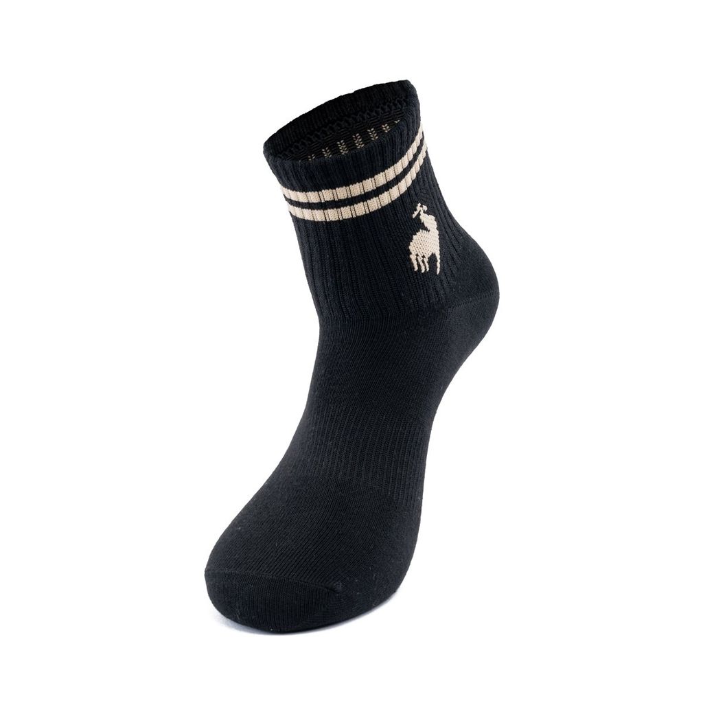 Tất thể thao le coq sportif Nam LT5SSO11UV-WHBG