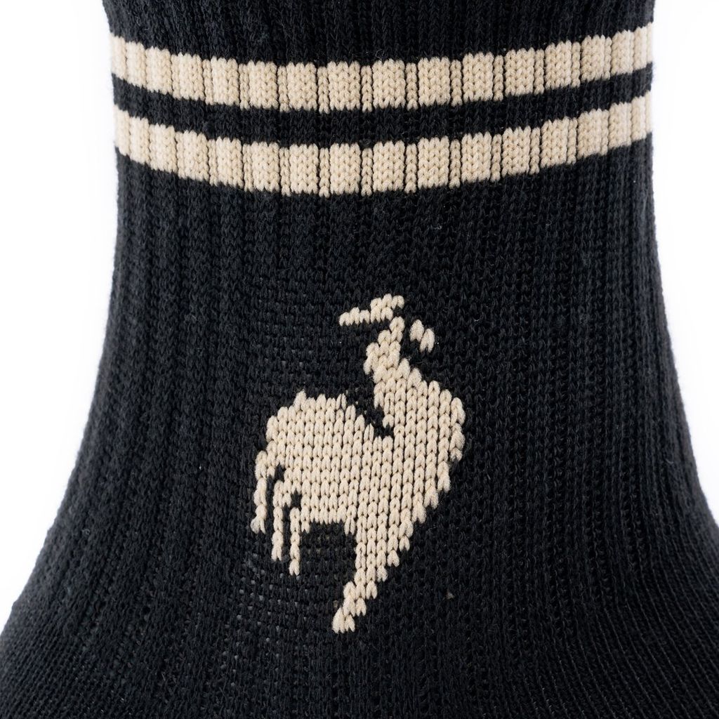 Tất thể thao le coq sportif Nam LT5SSO11UV-WHBG