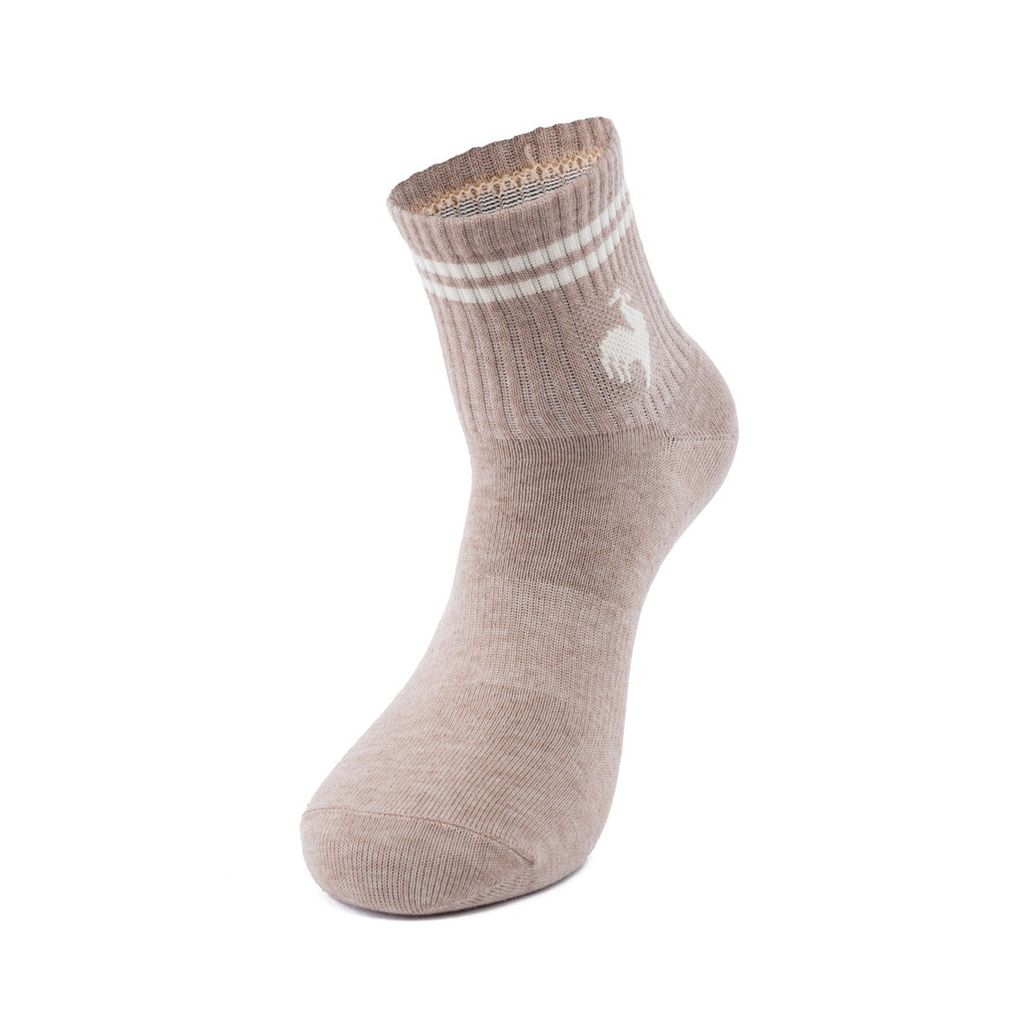 Tất thể thao le coq sportif Nam LT5SSO11UV-WHBG