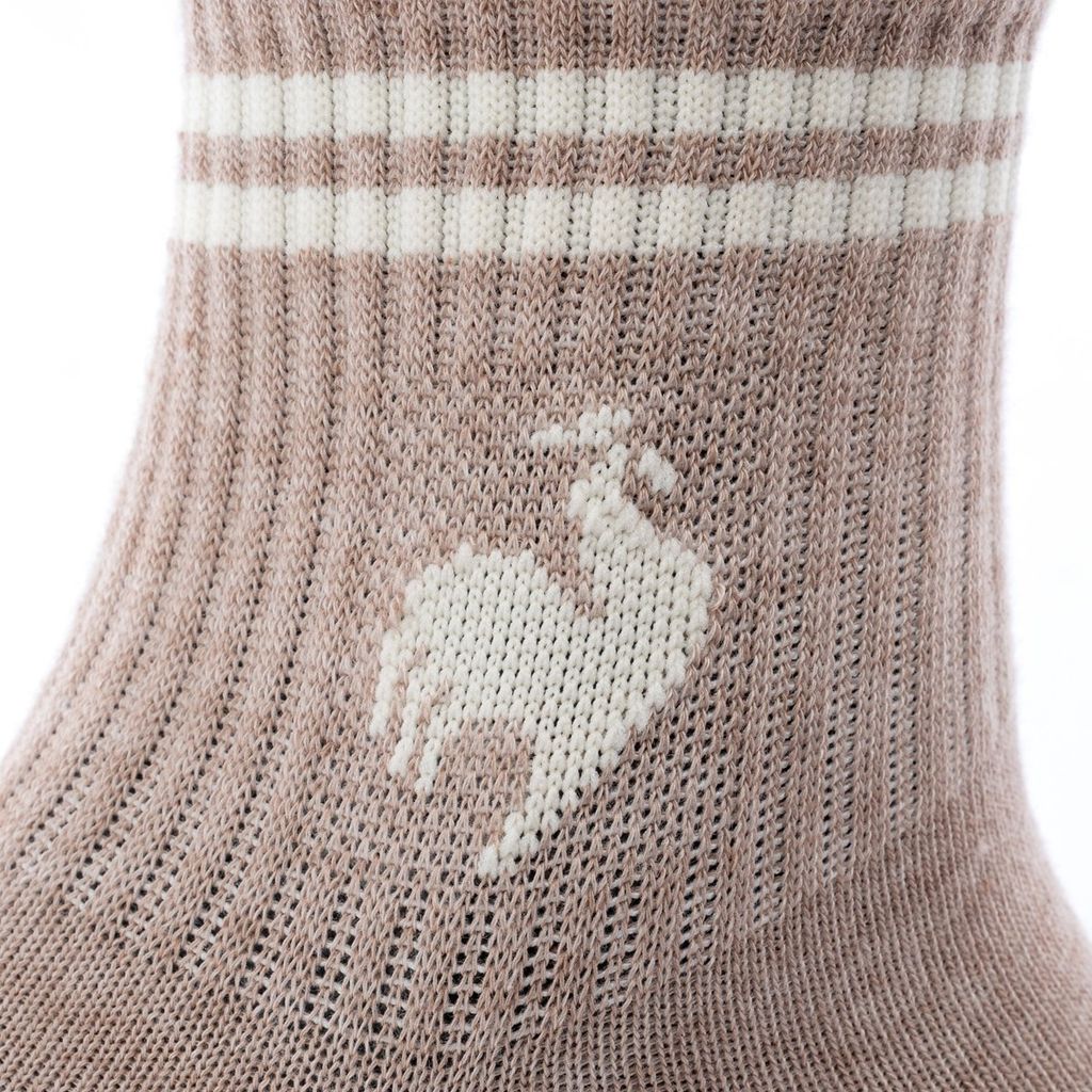 Tất thể thao le coq sportif Nam LT5SSO11UV-WHBG