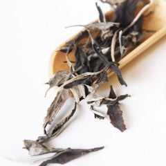 Bạch trà mẫu đơn shan tuyết Tây Côn Lĩnh