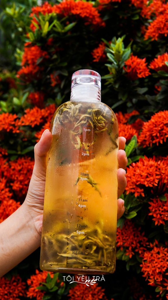 Bình Ủ Lạnh Trà, Cold Brew Tea Thủy Tinh Borosilicate Có Vạch Thời Gian