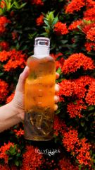 Bình Ủ Lạnh Trà, Cold Brew Tea Thủy Tinh Borosilicate Có Vạch Thời Gian