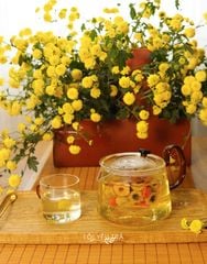 Combo trà hoa cúc chi Hưng Yên kết hợp Long nhãn; kỷ tử