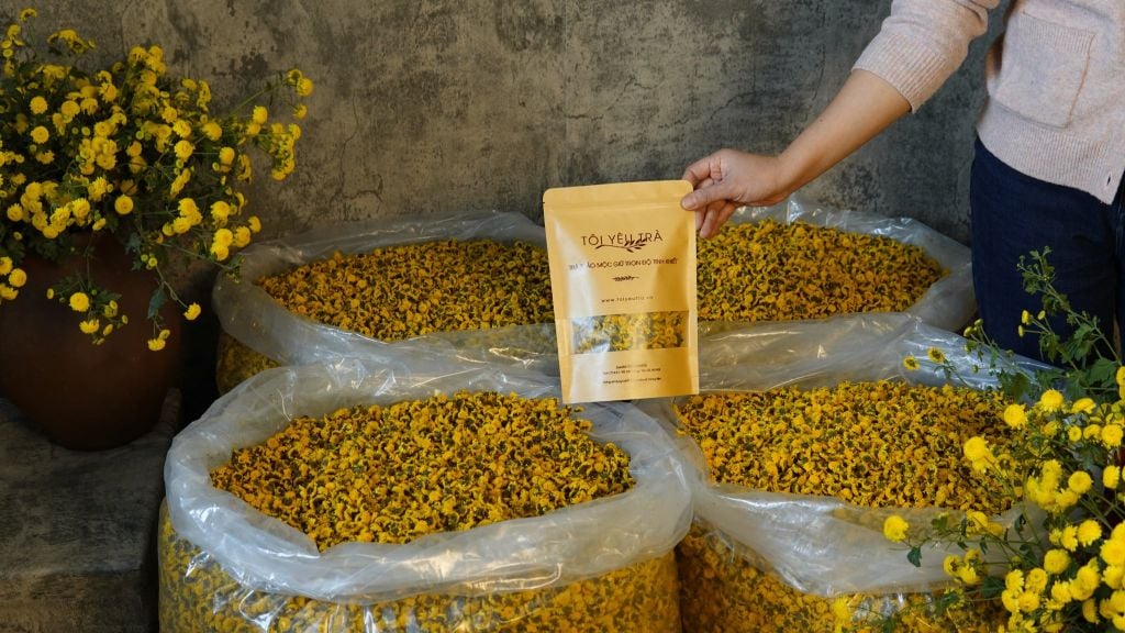 Combo trà hoa cúc chi Hưng Yên kết hợp Long nhãn; kỷ tử