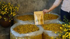 Combo trà hoa cúc chi Hưng Yên kết hợp Long nhãn; kỷ tử