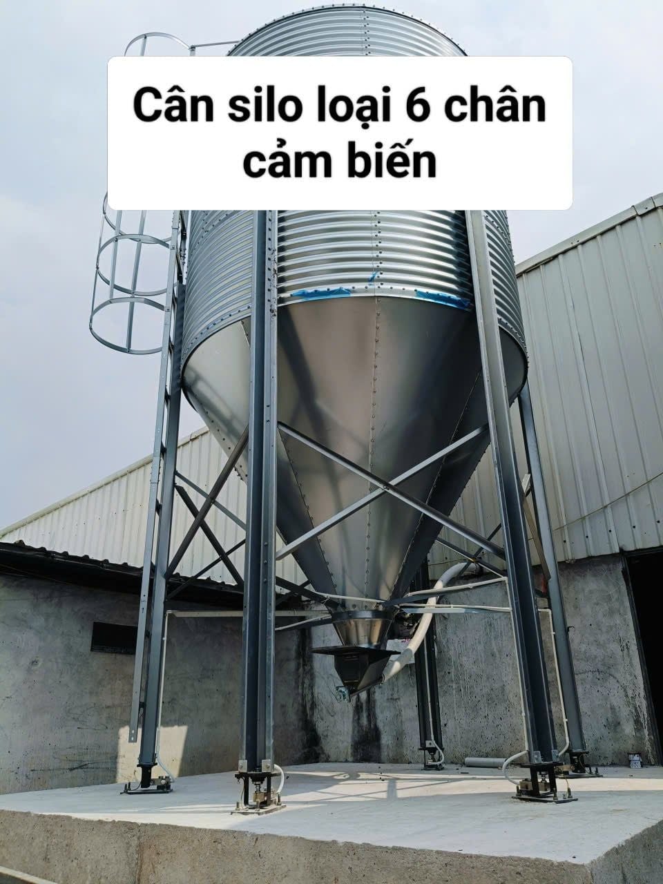  Cân silo 11 đến 15 tấn 