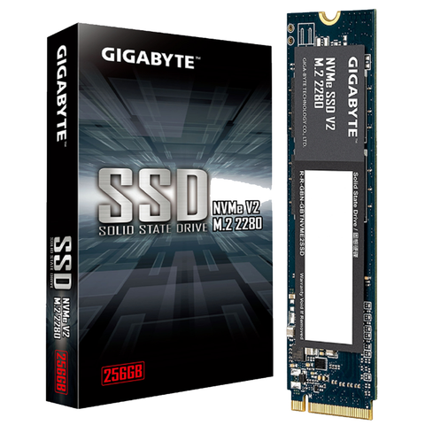  Ổ cứng SSD GIGABYTE G3NVMEV2256G V2 256GB (NVMe PCIe Gen3x4) 