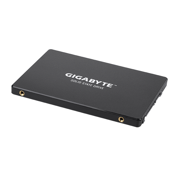  Ổ cứng SSD GIGABYTE GSTFS31256GTND 256GB (Sata III 2.5) 