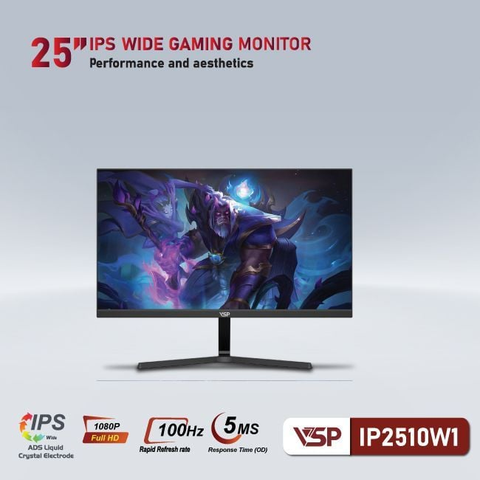  Màn hình máy tính LCD VSP IP2510W1 25