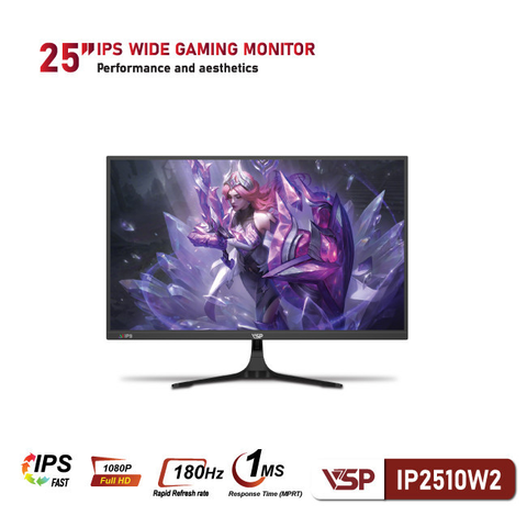  Màn hình máy tính LCD VSP IP2510W2 25