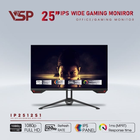 Màn hình máy tính LCD VSP IP2512S1 25