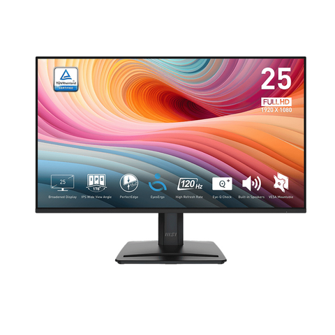  Màn hình máy tính LCD MSI PRO MP251 E2 24.5