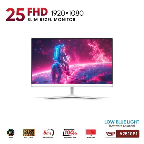  Màn hình máy tính LCD VSP V2510F1 24.5