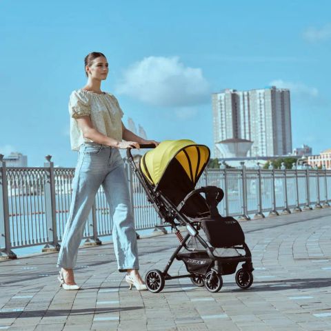 Xe đẩy cho bé Zaracos Evian 2996 - Màu Brown