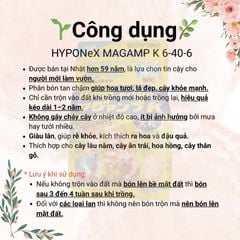 Phân bón Magamp K Coarse Grade NPK 6-40-6 (600gram)