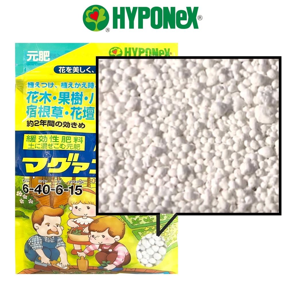 Phân bón Magamp K Coarse Grade NPK 6-40-6 (600gram)