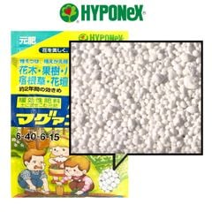 Phân bón Magamp K Coarse Grade NPK 6-40-6 (600gram)