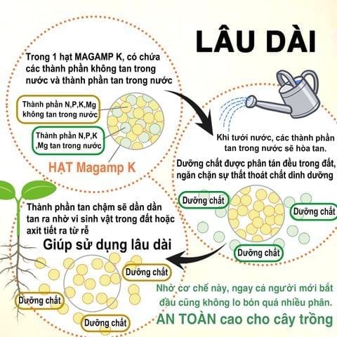 Phân bón tan chậm Hạt Trung Nhật Bản HYPONEX Magamp K - Kích rễ mạnh -