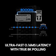 Bàn Phím Máy Tính Pulsar Xboard MS TKL ANSI - BLACK