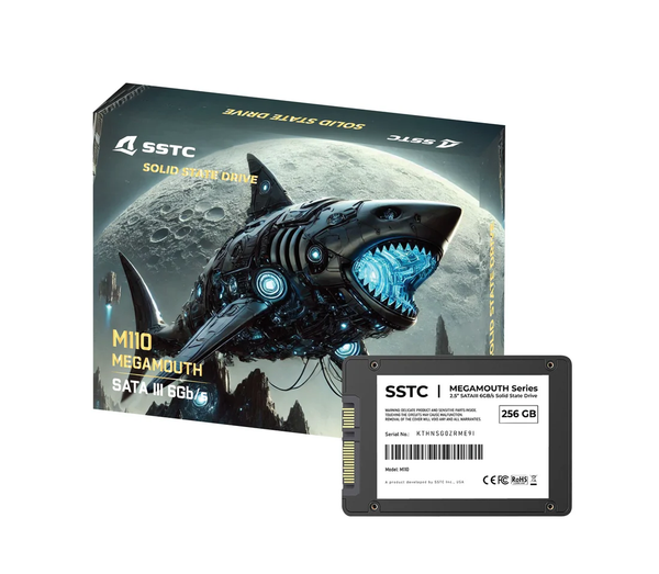 Ổ cứng SSD SSTC M110 256GB SATA III, 2.5