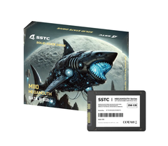 Ổ cứng SSD SSTC M110 256GB SATA III, 2.5