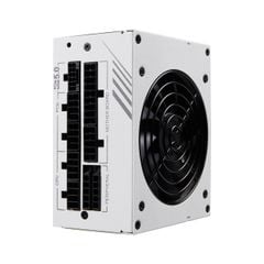 Nguồn Máy Tính FSP DAGGER PRO 850W GEN 5 80 PLUS GOLD - WHITE