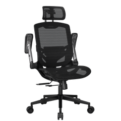 Ghế Công Thái Học Ergonomic COUGAR Speeder One