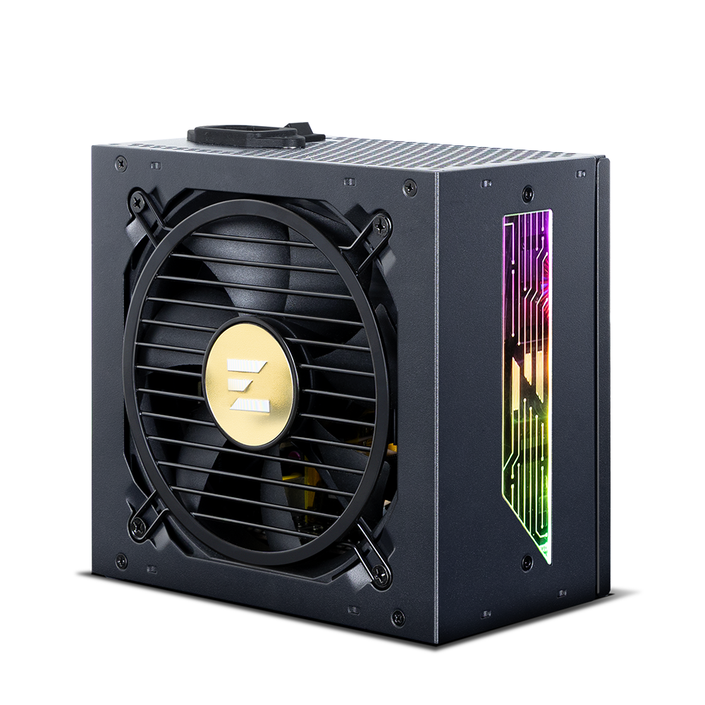 NGUỒN ZALMAN TeraMaxII VIEW 850W 80 Gold Cybenetics Platinum ATX 3.1 PCIE 5.1