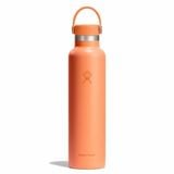  Bình giữ nhiệt Hydro Flask Standard Flex Cap 18 OZ (532 ml) S18CSX 