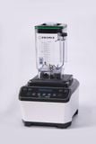  Máy xay sinh tố công nghiệp Promix PM-1080 