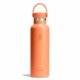  Bình giữ nhiệt Hydro Flask Standard Flex Cap 21 OZ (621 ml) S21CSX 