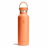  Bình giữ nhiệt Hydro Flask Standard Flex Cap 21 OZ 621 ml S21CSX 