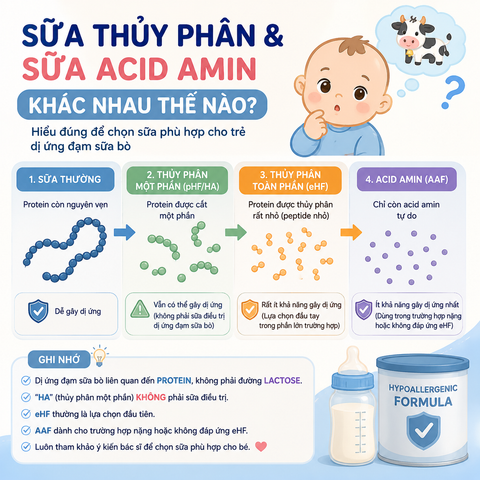 SỮA THỦY PHÂN VÀ SỮA ACID AMIN KHÁC NHAU THẾ NÀO? TRẺ DỊ ỨNG ĐẠM SỮA BÒ NÊN DÙNG LOẠI NÀO?