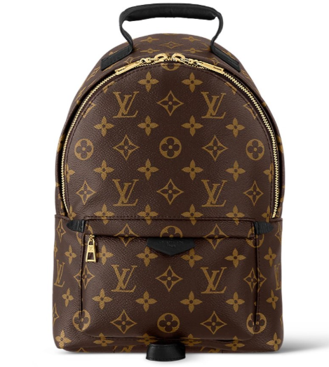 Louis Vuitton Monogram Canvas Palm Springs PM Backpack Bag Used