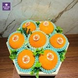  Lẵng Quà Tết Quýt Nhật Bản 