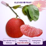  Quà Tết Truyền Thống Bưởi Đỏ Tiến Vua 