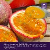  Chanh Dây Giống Nhật Okinawa - Chanh Leo 