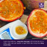  Chanh Dây Giống Nhật Okinawa - Chanh Leo 