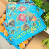  Chanh Dây Giống Colombia - Chanh Leo Hút Colombia 