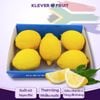 Chanh Vàng Giống Nam Phi khay 5 quả tại Klever Fruit