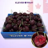  Cherry Number One Canada Size To 8.5 Row (32 - 34mm) - Canadian Cherry 