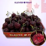 Cherry Number One Canada Size To 8.5 Row (32 - 34mm) - Canadian Cherry 