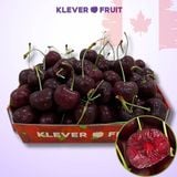  Cherry SuperBig Canada Size Trung 9 Row (30-32mm) - Canadian Cherry 