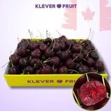  Cherry Number One Canada Size To 8.5 Row (32 - 34mm) - Canadian Cherry 